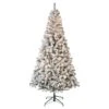 National Tree Company First Traditions Pre-Lit Acacia Flocked Tree Christmas Tree, Clear Incandescent Lights, Plug In, 7.5 Ft -National Tree Company AC100 300 75F