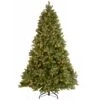 National Tree Company 9 Ft. Downswept Douglas® Fir Tree With Dual Color® LED Lights -National Tree Company APED8 D12 90