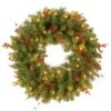 National Tree Company Pre-Lit Artificial Christmas Wreath, Green, Classical, White Lights, Decorated With Pine Cones, Berry Clusters, Leaves, Twigs, Christmas Collection, 24 Inches -National Tree Company CC1 301 24W 1