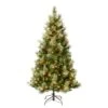 National Tree Company First Traditions Pre-Lit Charleston Pine Snowy Slim Christmas Tree, Clear Incandescent Lights, Plug In, 6 Ft -National Tree Company CHR3 306 60