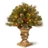 National Tree Company 24in Crestwood(R) Spruce Porch Bush With Clear Lights -National Tree Company CW7 300 24P