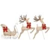 National Tree Company Champagne Reindeer And Sleigh With Clear Lights 2 National Tree Company Champagne Reindeer And Sleigh With Clear Lights -National Tree Company DF 21150007U
