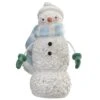 National Tree Company Classic Snowman Decoration, White, Christmas Collection, 10 Inches -National Tree Company DS69 F25892 1