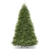 Dunhill® Fir Tree -National Tree Company DUH 140 e3847787 fd75 4f96 8282 dc8ce3dc59fa