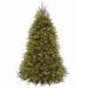 National Tree Company 7.5 Ft Dunhill(R) Fir Tree With Clear Lights