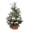 National Tree Company Pre-Lit Artificial Christmas Tree, Green, Frosted Silver Pine, White LED Lights, Decorated With Berry Clusters, Ball Ornaments, Includes Cloth Bag Base, Battery Operated, 24 Inches 1 National Tree Company Pre-Lit Artificial Christmas Tree, Green, Frosted Silver Pine, White LED Lights, Decorated With Berry Clusters, Ball Ornaments, Includes Cloth Bag Base, Battery Operated, 24 Inches -National Tree Company FSP 300 20 B1