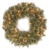 National Tree Company, Pre-Lit Artificial Christmas Wreath, Glittery Bristle Pine With Twinkly LED Lights, Plug In, 30 In -National Tree Company GB3 300T 30W S