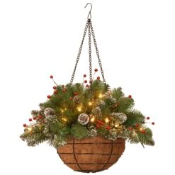 National Tree Company Pre-Lit Artificial Christmas Hanging Basket, Mountain Spruce, Decorated With Frosted Pine Cones, Berry Clusters, White Lights, Christmas Collection, 20 Inches