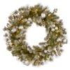National Tree Company Pre-Lit Artificial Christmas Wreath, Green, Glittery Pomegranate Pine, White Lights, Decorated With Pomegranates, Berry Clusters, Christmas Collection, 30 Inches -National Tree Company GTP1 300 24W B1
