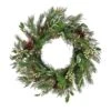 National Tree Company 28" HGTV Home Collection Pre-Lit Holly And Berry Wreath -National Tree Company HGTHY63 30028WB