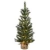 National Tree Company 4 Ft Frosted Ontario Pine Tree With Battery Operated Lights