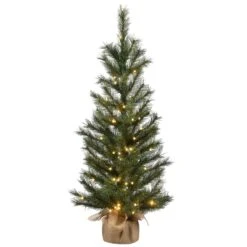 National Tree Company 4 Ft Frosted Ontario Pine Tree With Battery Operated Lights