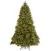 Pre-Lit 'Feel Real' Artificial Full Downswept Christmas Tree, Green, Douglas Fir, White Lights, Includes Stand, 7.5 Feet 2 Pre-Lit 'Feel Real' Artificial Full Downswept Christmas Tree, Green, Douglas Fir, White Lights, Includes Stand, 7.5 Feet -National Tree Company PEDD1 312 75