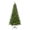 National Tree Company First Traditions Pre-Lit Duxbury Christmas Tree With Hinged Branches, Warm White LED Lights, Plug In, 7.5 Ft -National Tree Company PEDUX8 300L 75