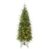 National Tree Company First Traditions Pre-Lit Duxbury Slim Christmas Tree With Hinged Branches, Warm White LED Lights, Plug In, 4.5 Ft 1 National Tree Company First Traditions Pre-Lit Duxbury Slim Christmas Tree With Hinged Branches, Warm White LED Lights, Plug In, 4.5 Ft -National Tree Company PEDUX8 304L 45
