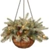 National Tree Company Pre-Lit 'Feel Real' Artificial Christmas Hanging Basket, Arctic Spruce, Decorated With Frosted Pine Cones, White Lights, Christmas Collection, 20 Inches -National Tree Company PEFA1 307L 20HB
