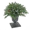 National Tree Company 24" Snowy Morgan Spruce Porch Bush With Twinkly™ LED Lights