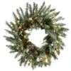 National Tree Company Pre-Lit Artificial Christmas Wreath, Green, Snowy Morgan Spruce, White LED Lights, Decorated With Pine Cones, Christmas Collection, 24 Inches -National Tree Company PEMG3 31424WBC1