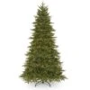 National Tree Company Pre-Lit 'Feel Real' Artificial Full Christmas Tree, Green, Northern Frasier Fir, White Lights, Includes Stand, 6.5 Feet -National Tree Company PENO4 307 65