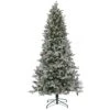 National Tree Company 7.5 Ft Pre-Lit Snowy Poechmann Fir Tree With LED Lights -National Tree Company PEPH64 300L 75