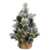 National Tree Company 2 Ft Snowy Redmond Pine With Battery Operated LED Lights -National Tree Company PERPF1 306 20B1