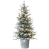 National Tree Company Pre-Lit Artificial Christmas Entrance Tree, Snowy Alpine Fir, With Warm White LED Lights, Plug In, 4.5 Ft -National Tree Company SAF64 306L 45