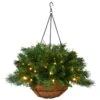 National Tree Company Pre-Lit Artificial Christmas Hanging Basket, Tiffany Fir, Decorated With Frosted Pine Cones, Berry Clusters, White Lights, Christmas Collection, 20 Inches 2 National Tree Company Pre-Lit Artificial Christmas Hanging Basket, Tiffany Fir, Decorated With Frosted Pine Cones, Berry Clusters, White Lights, Christmas Collection, 20 Inches -National Tree Company TF 300 20HB 1