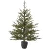 National Tree Company Woodward Pine Christmas Tree, Black Pot Base, 3 Ft 1 National Tree Company Woodward Pine Christmas Tree, Black Pot Base, 3 Ft -National Tree Company WDP64 700 30