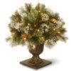 National Tree Company 24" Wintry Pine(R) Porch Bush With Clear Lights -National Tree Company WP1 300 24P