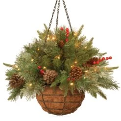 National Tree Company Pre-Lit 'Feel Real' Artificial Christmas Hanging Basket, Colonial, Decorated With Frosted Pine Cones, Berry Clusters, White Lights, Christmas Collection, 20 Inches